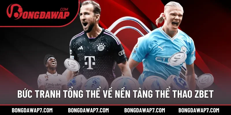 Bức tranh tổng thể về nền tảng thể thao ZBET
