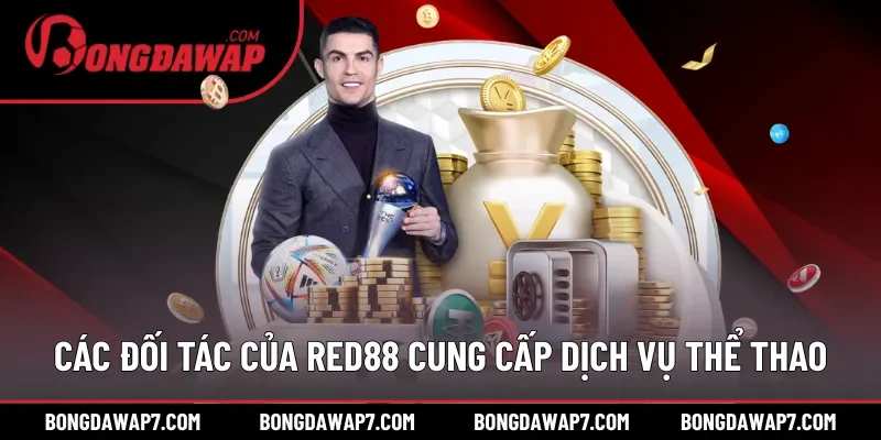 Các đối tác của RED88 cung cấp dịch vụ thể thao