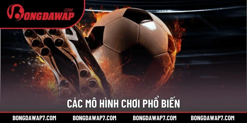 Các mô hình chơi phổ biến