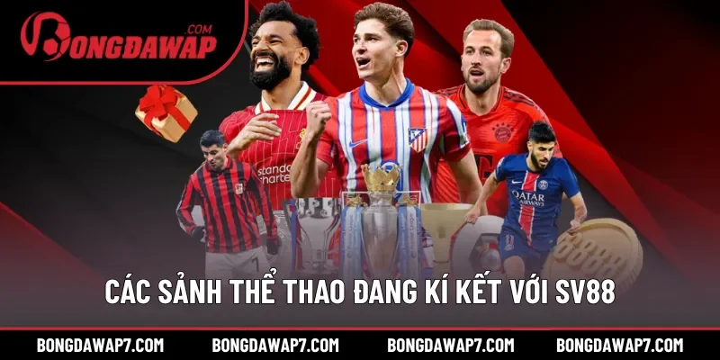 Các sảnh thể thao đang kí kết với SV88