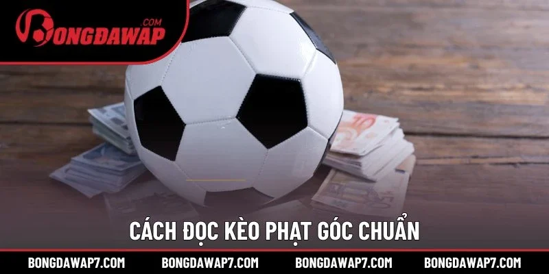 Cách đọc kèo phạt góc chuẩn