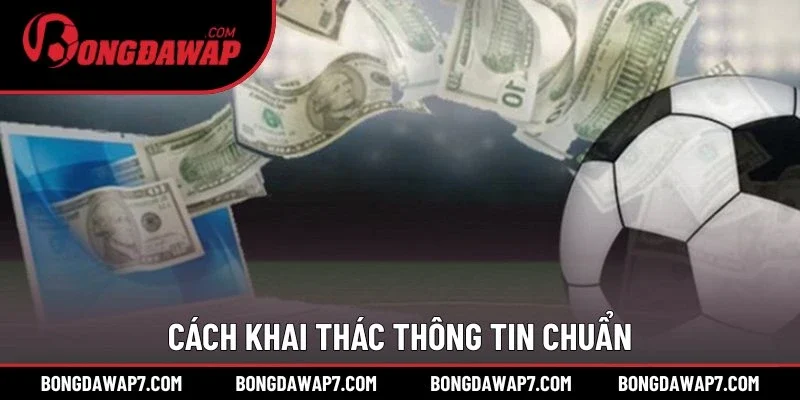 Cách khai thác thông tin chuẩn