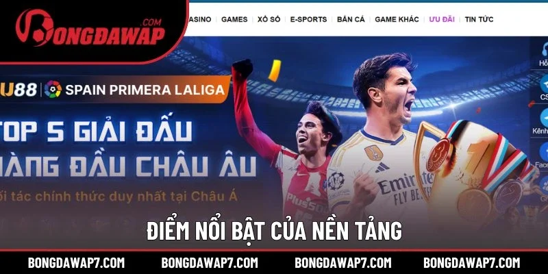 Điểm nổi bật của nền tảng