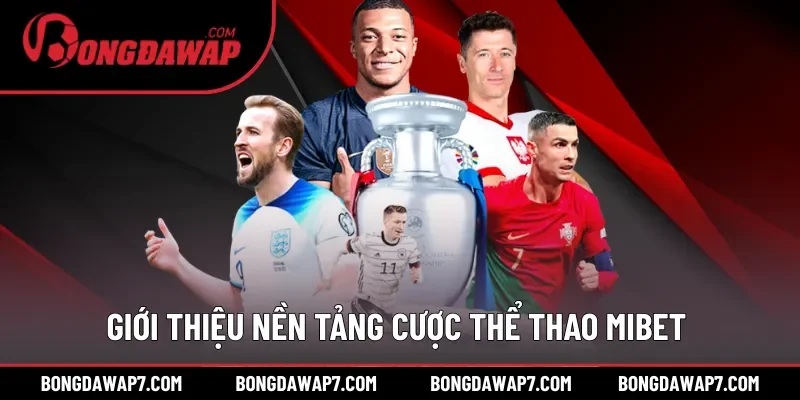 Giới thiệu nền tảng cược thể thao MIBET uy tín
