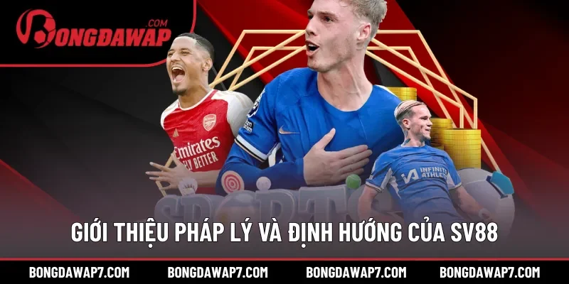Giới thiệu pháp lý và định hướng của SV88
