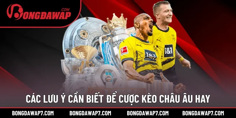 Các lưu ý cần biết để cược kèo Châu Âu hay