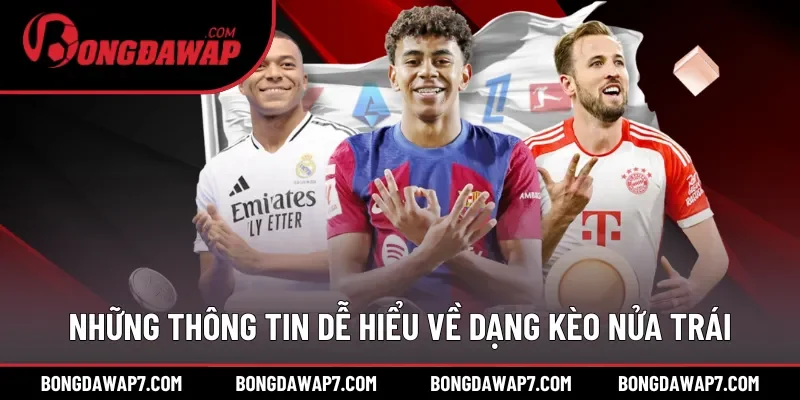 Những thông tin dễ hiểu về dạng kèo nửa trái