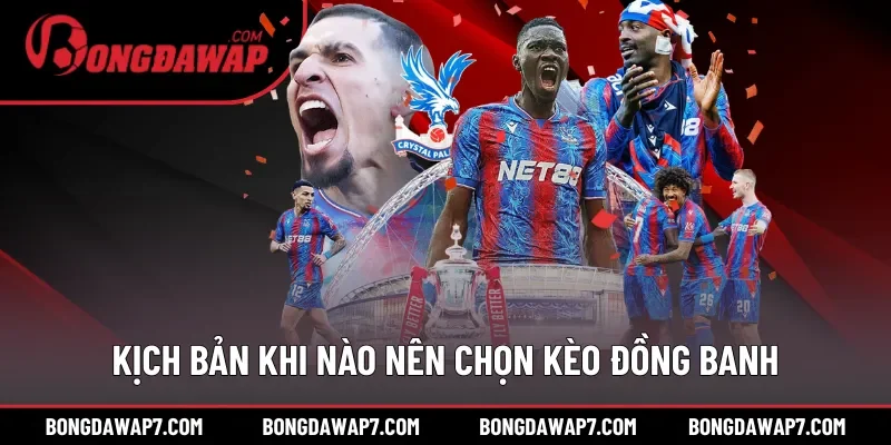 Kịch bản khi nào nên chọn kèo đồng banh