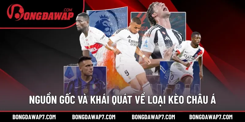 Nguồn gốc và khái quát về loại kèo châu Á