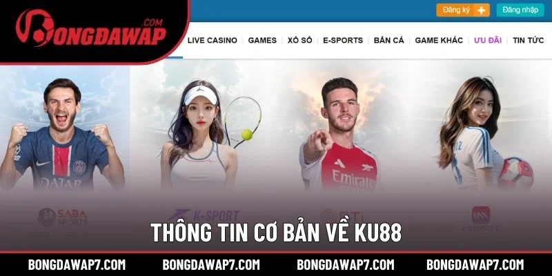 Thông tin cơ bản về Ku88