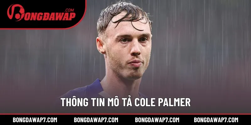 Các thông tin mô tả về vị cầu thủ mang tên Cole Palmer