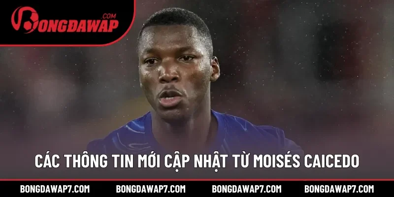 Các thông tin mới cập nhật từ Moisés Caicedo