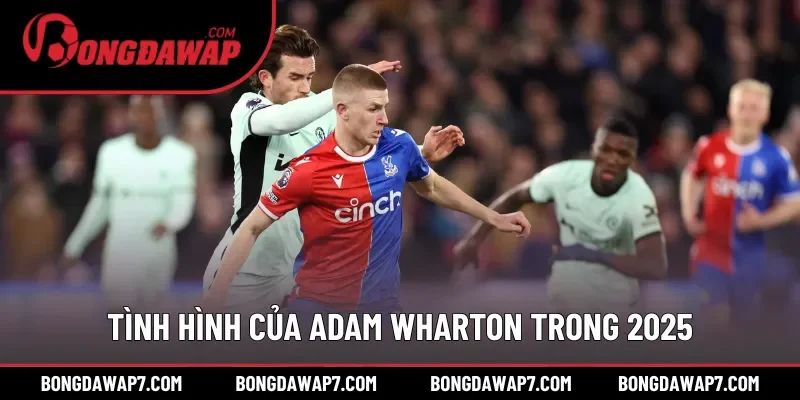 Tình hình của Adam Wharton trong cuộc đua tranh giải 2025