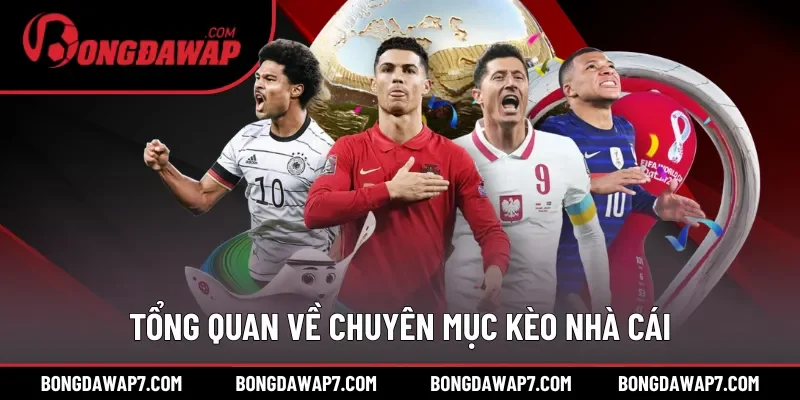 Tổng quan dễ hình dung về chuyên mục kèo nhà cái