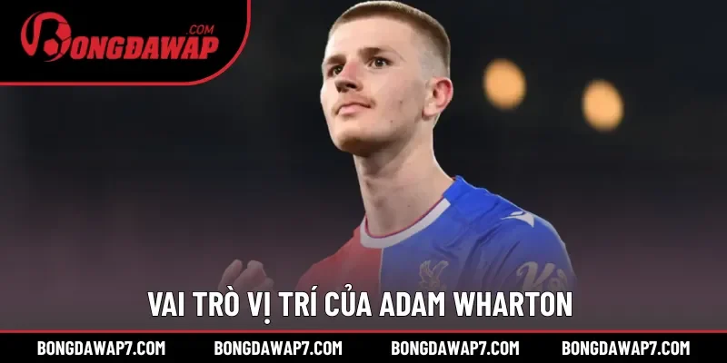 Vai trò vị trí của Adam Wharton trong đội bóng Crystal Palace